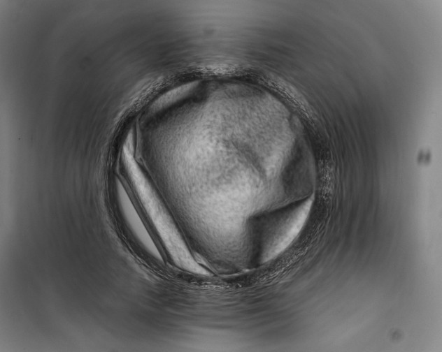 X0000099530738200806061431