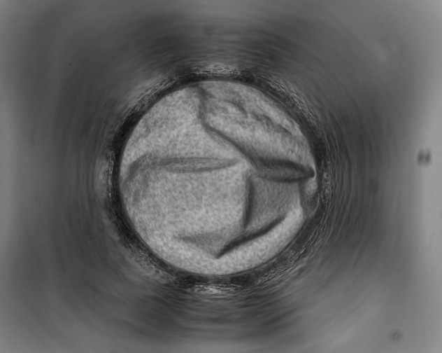 X0000099530739200806061431