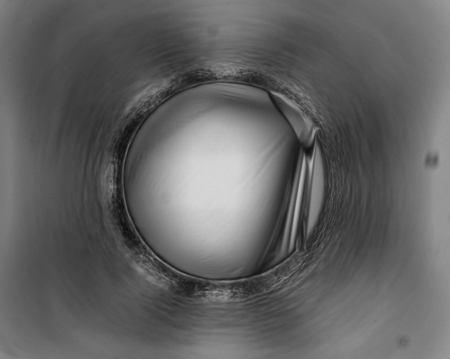 X0000099530740200806061431