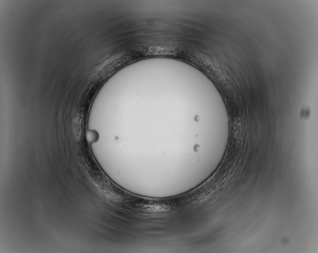 X0000099530741200806061431