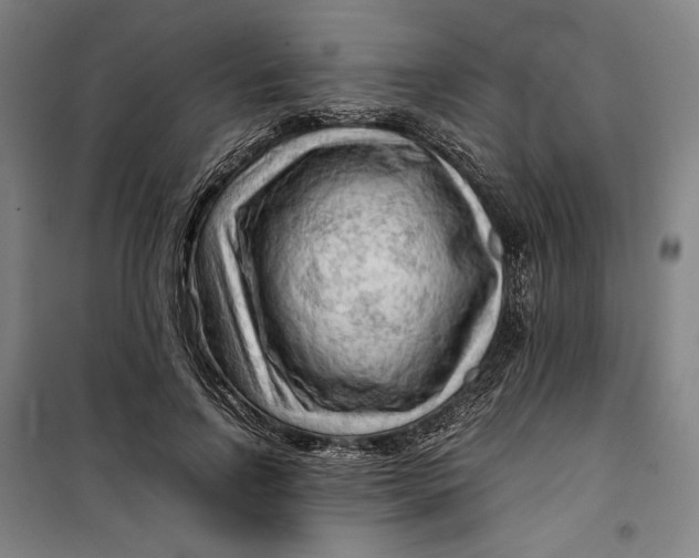 X0000099530742200806061431