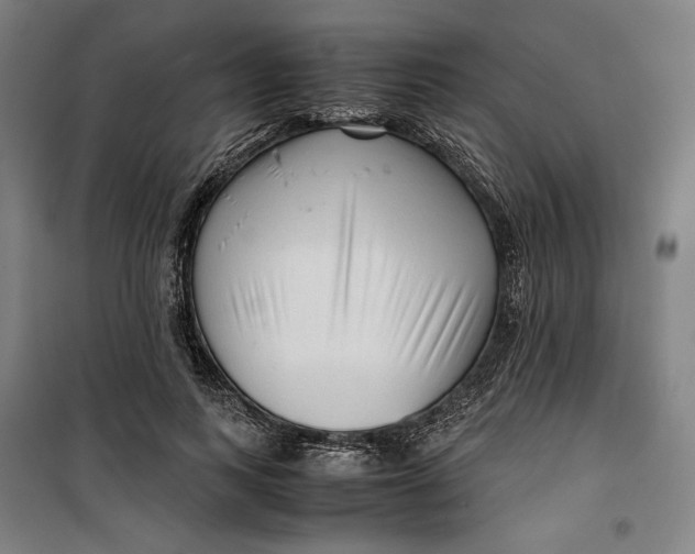 X0000099530743200806061431