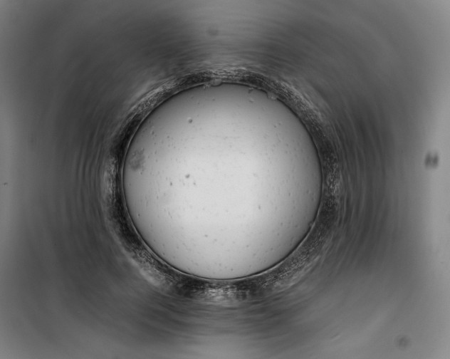 X0000099530744200806061431