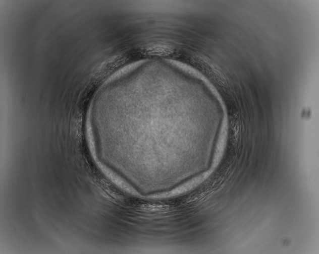 X0000099530745200806061431