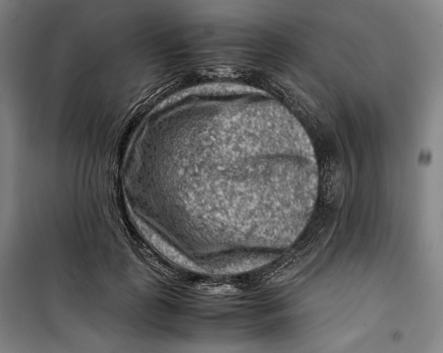 X0000099530747200806061431