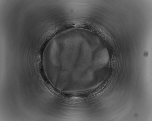 X0000099530748200806061431