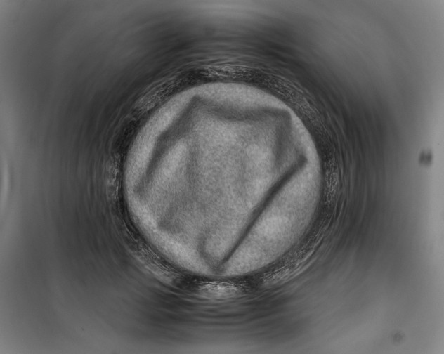 X0000099530749200806061431