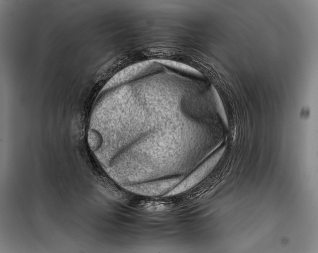 X0000099530751200806061431