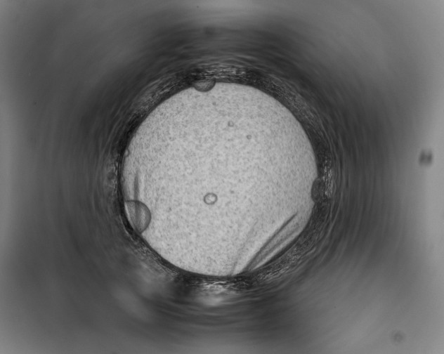 X0000099530753200806061431