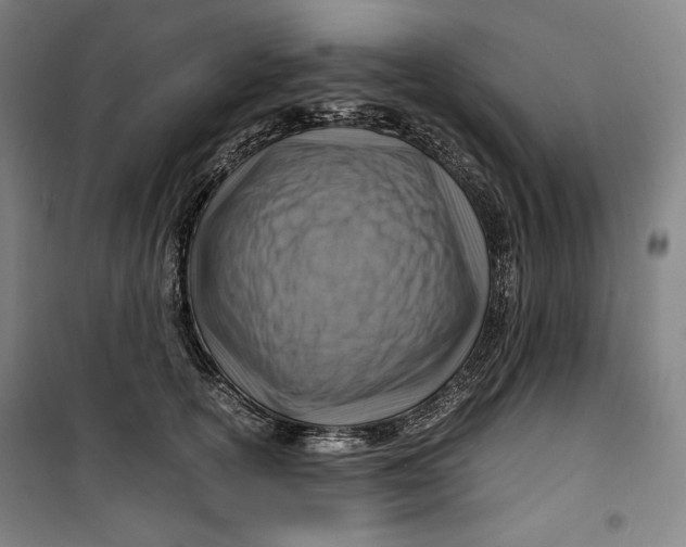 X0000099530754200806061431