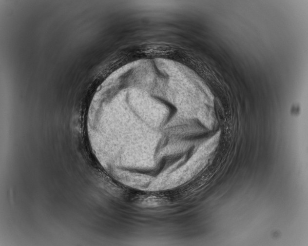 X0000099530755200806061431