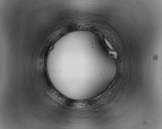 X0000099530756200806061431