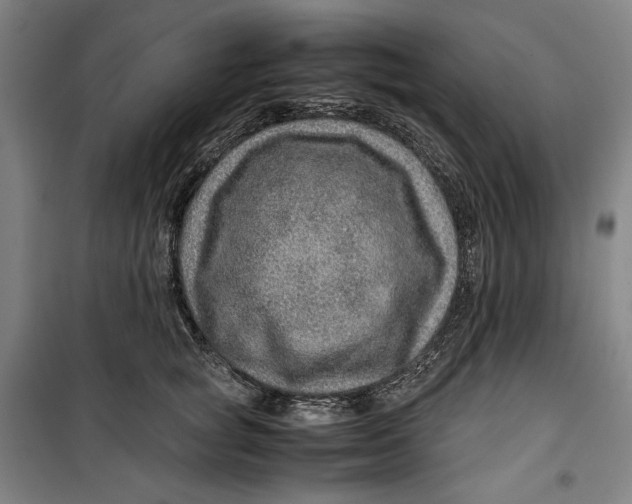 X0000099530757200806061431