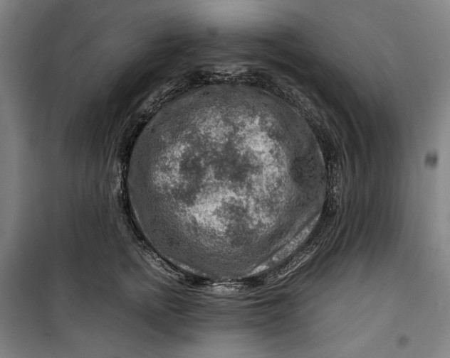 X0000099530758200806061431