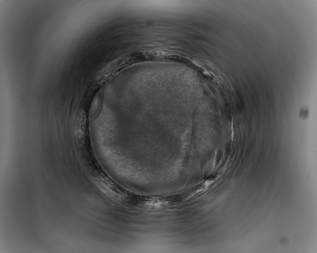 X0000099530760200806061431