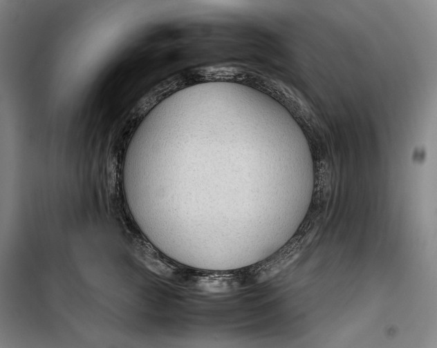 X0000099530761200806061431