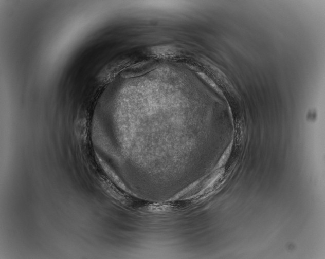 X0000099530762200806061431