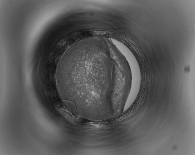 X0000099530763200806061431