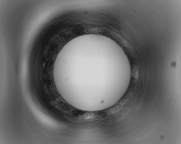 X0000099530764200806061431