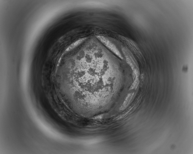 X0000099530765200806061431