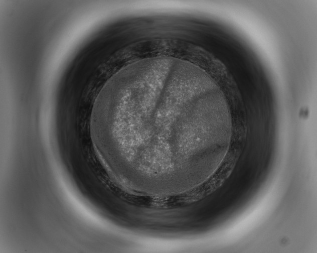 X0000099530766200806061431