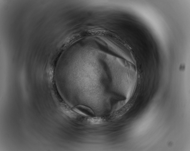 X0000099530767200806061431