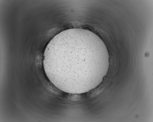 X0000099530768200806061431