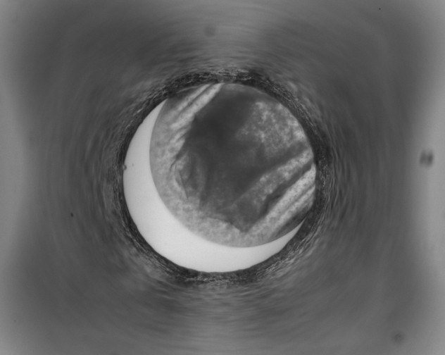 X0000099530769200806061431