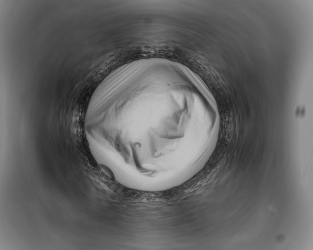 X0000099530770200806061431