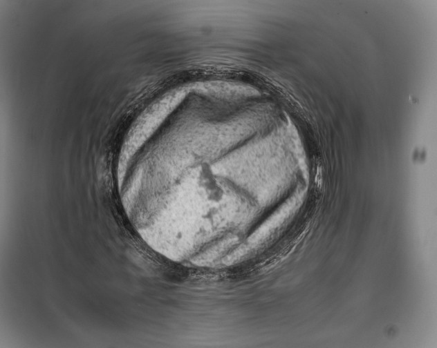 X0000099530771200806061431