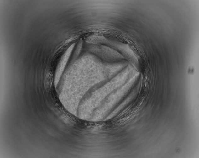 X0000099530772200806061431