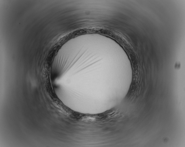 X0000099530773200806061431