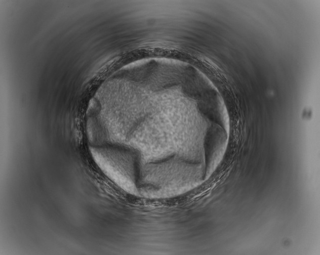 X0000099530774200806061431