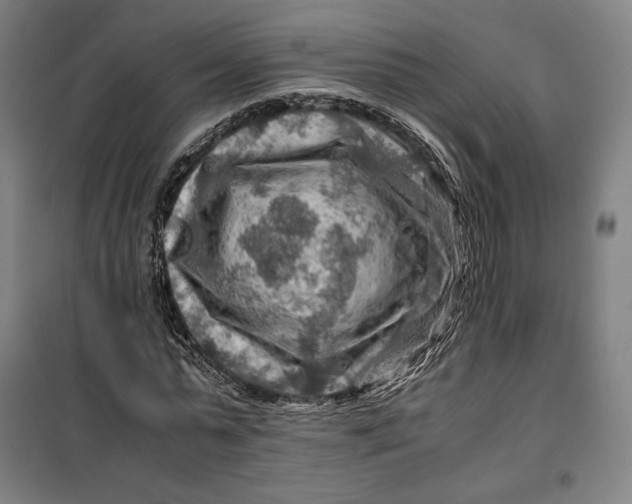 X0000099530775200806061431