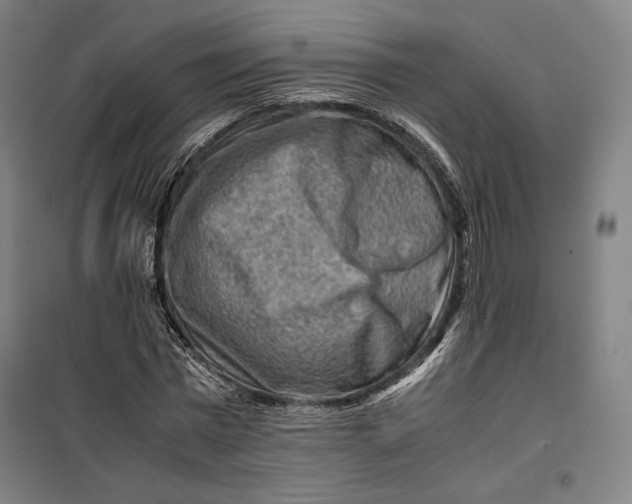 X0000099530777200806061430