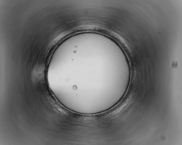 X0000099530778200806061430