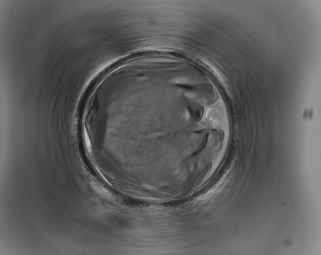 X0000099530779200806061430