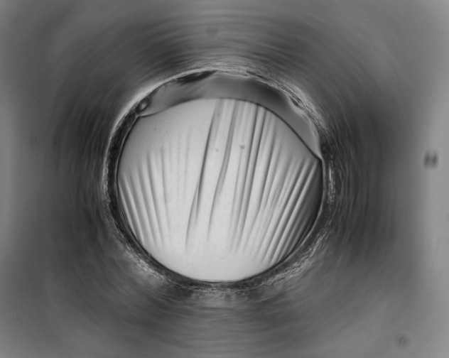 X0000099530780200806061430