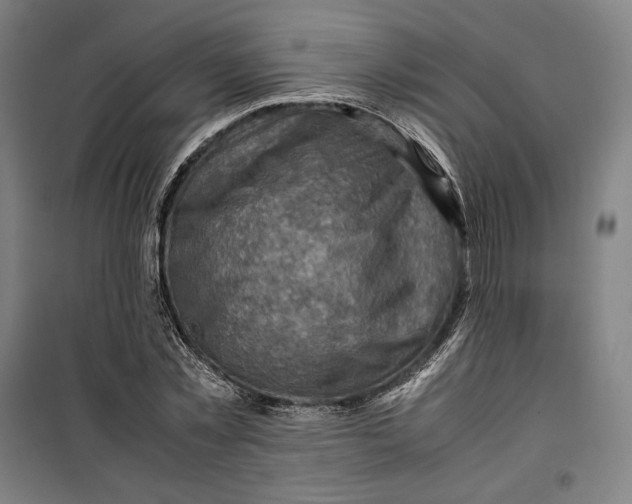 X0000099530781200806061430