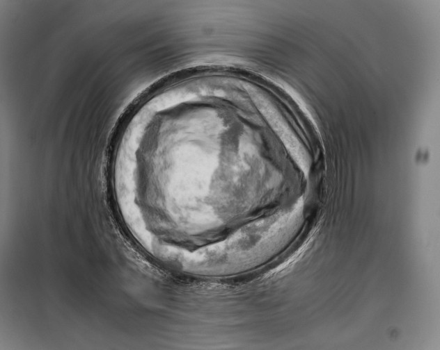 X0000099530783200806061430