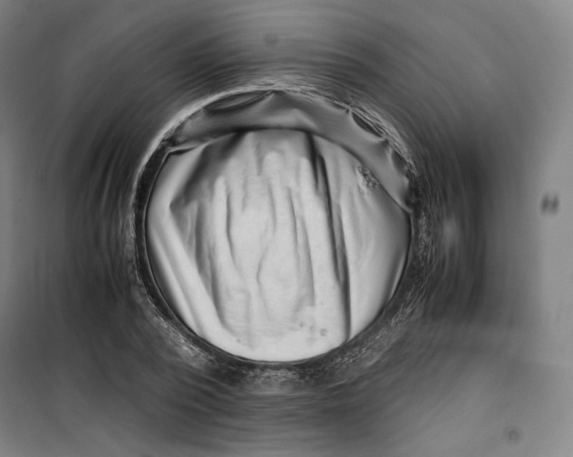 X0000099530784200806061430