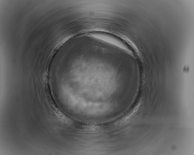 X0000099530785200806061430