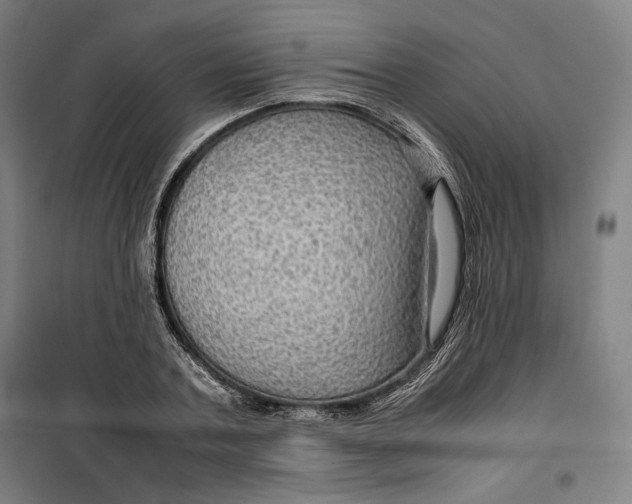 X0000099530787200806061430