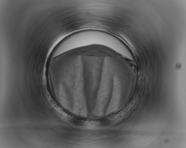 X0000099530788200806061430