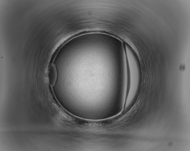 X0000099530789200806061430