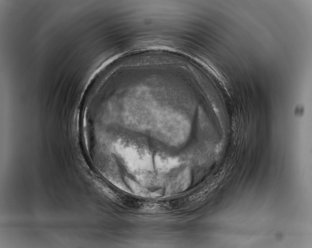 X0000099530790200806061430