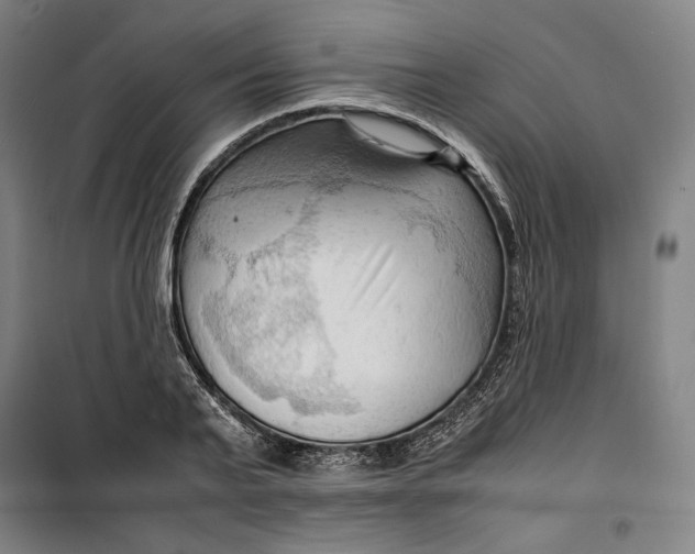 X0000099530791200806061430