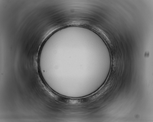 X0000099530794200806061430