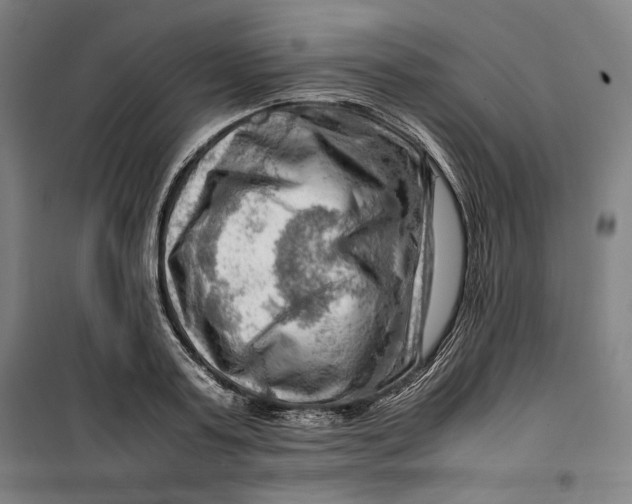 X0000099530795200806061430