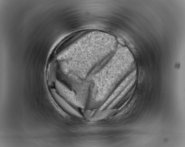 X0000099530796200806061430